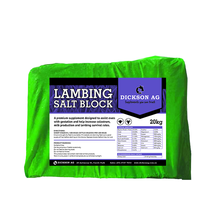 Salt Block Image_Lambing