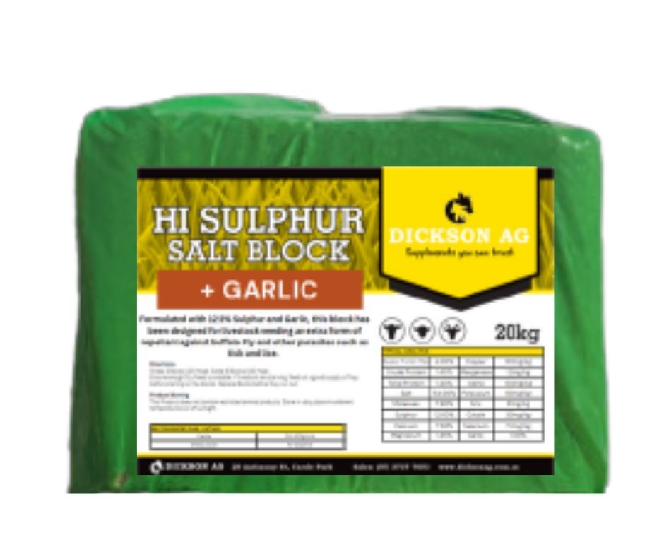 sulphur garlic